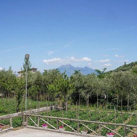 Bed and Breakfast Casa Fiorita Gragnano Esterno foto