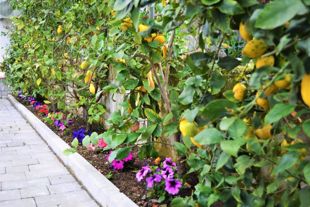 Bed and Breakfast Casa Fiorita Gragnano Esterno foto