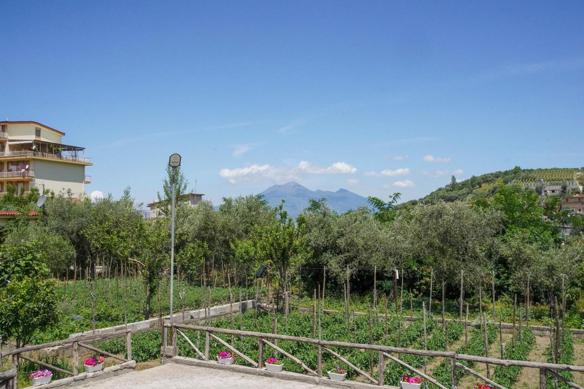 Bed and Breakfast Casa Fiorita Gragnano Esterno foto